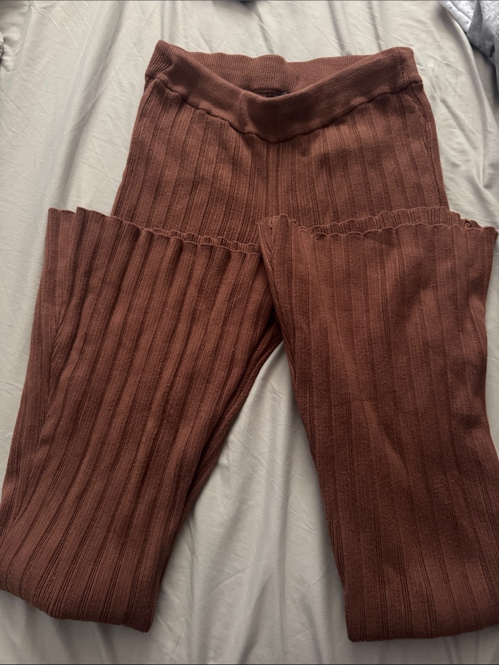 Dynamite Ribbed Knit pant in Chestnut Brown